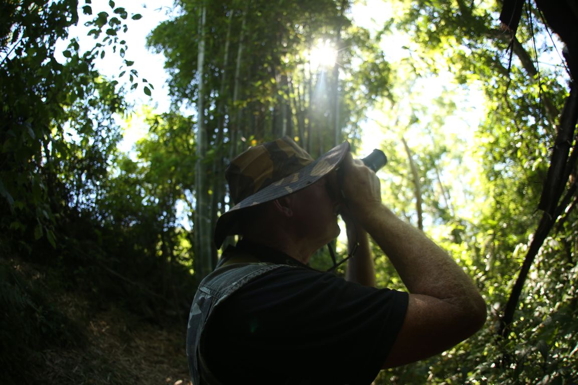 Birdwatching em Santa Rosa de Lima